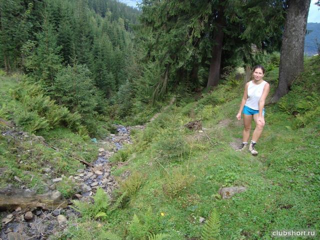 54790_15734789.jpg